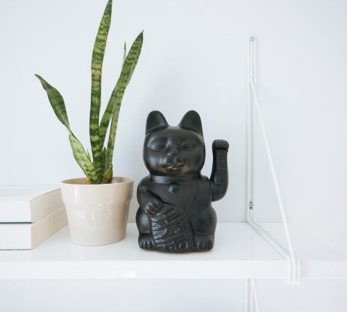 glueck-katze glueck-katze